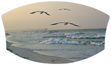 DNSWILL 126 Going Home (Seascape)